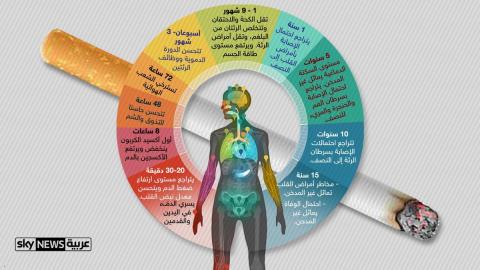 هذا ما سيحدث لجسمك بعد التوقف عن التدخين