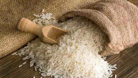 باحثون مصريون يحصلون على براءة اختراع بفضل "قشرة الأرز"