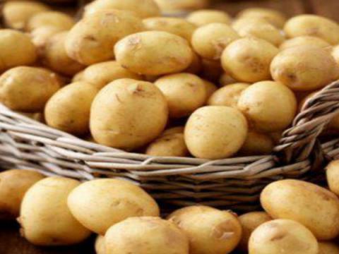 ريجيم البطاطس نوع جديد لانقاص الوزن 