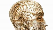 تحفيز المخ بالكهرباء "يساعد في التعافي من السكتة الدماغية"