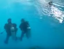 غواص سعودي «يصلي العصر» تحت الماء استعدادا لدخول جينيس 