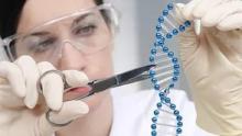 مجلة " Science " تصف اختراع محرر الحمض النووي بأنه أهم اختراق علمي في العام الجا