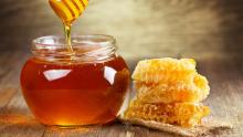العسل يقتل الفطريات ويلأم الجروح