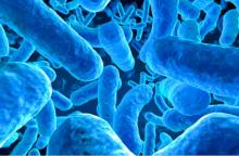 علماء يطوّرون مضادا حيويا يقتل البكتيريا دون مقاومة