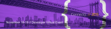 Developer Virtual Event at November 18-19