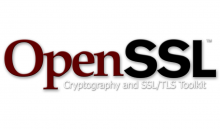 أمنيون يكتشفون ثغرة جديدة في برمجية التشفير OpenSSL